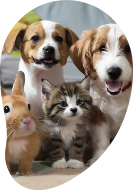 chien et chat